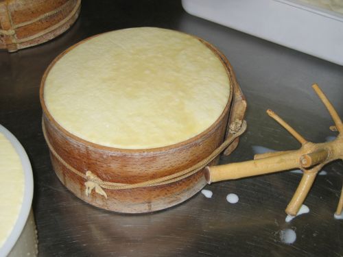 scuola di formaggio-3.JPG